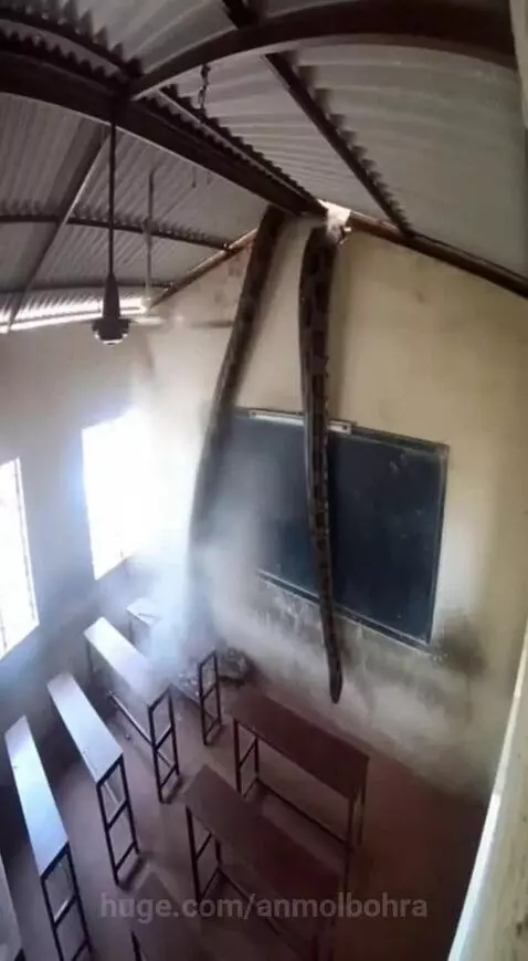 2026 ma duniya katam by anmolbohra