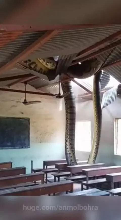 2026 ma duniya katam by anmolbohra