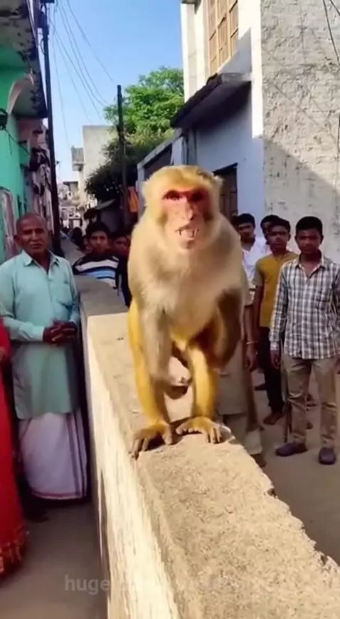 Jai Shree Ram by anmolbohra