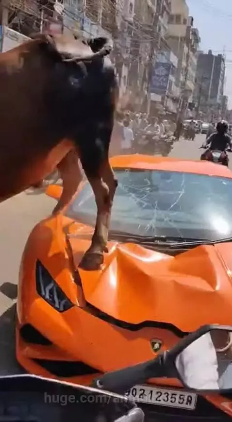 2026 ma duniya katam by anmolbohra