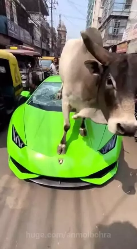 2026 ma duniya katam by anmolbohra