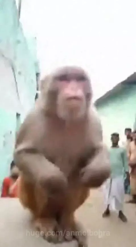 Jai Shree Ram by anmolbohra