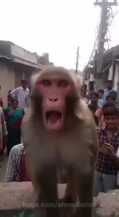 Jai Shree Ram by anmolbohra