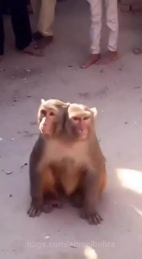 Bhagwan ka Chamatkar 🙏 by anmolbohra