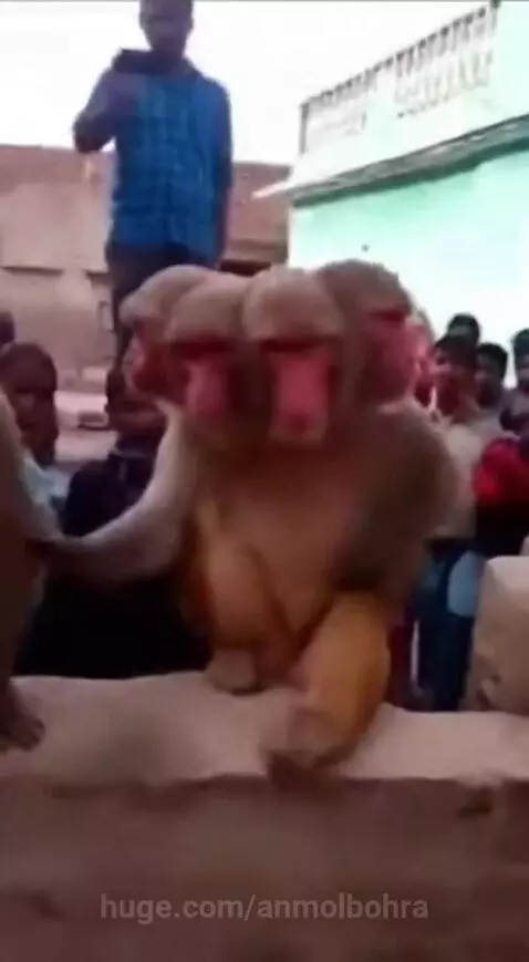 Bhagwan ka Chamatkar 🙏 by anmolbohra