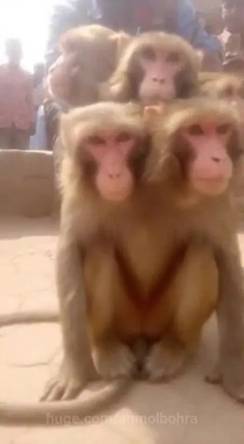 Bhagwan ka Chamatkar 🙏 by anmolbohra