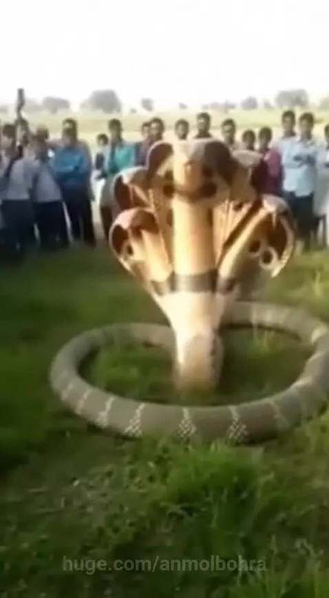 Bhagwan ka Chamatkar 🙏 by anmolbohra