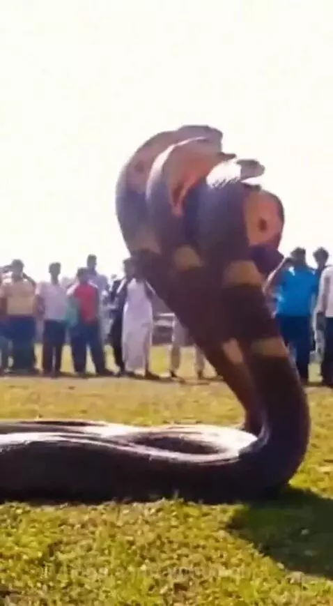 Bhagwan ka Chamatkar 🙏 by anmolbohra