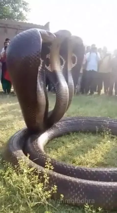 Bhagwan ka Chamatkar 🙏 by anmolbohra