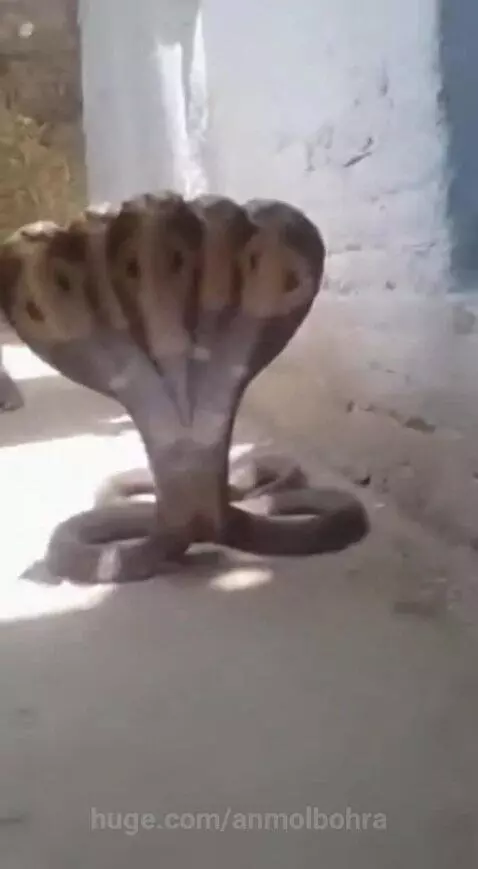 Bhagwan ka Chamatkar 🙏 by anmolbohra