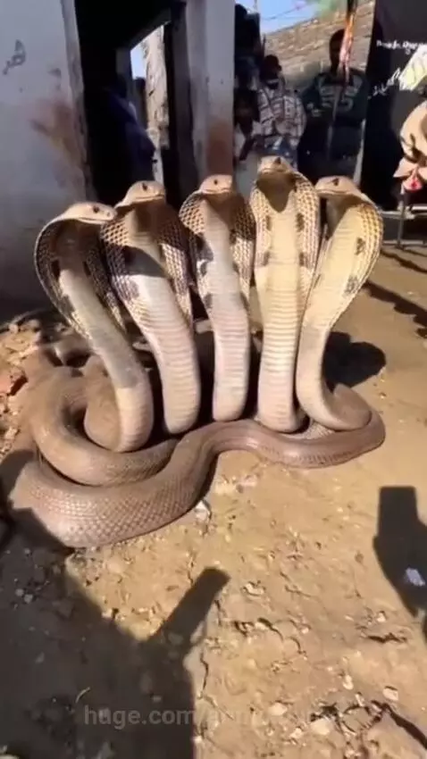 Bhagwan ka Chamatkar 🙏 by anmolbohra