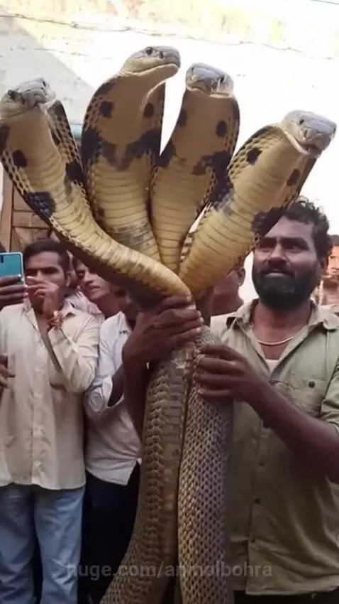 Bhagwan ka Chamatkar 🙏 by anmolbohra