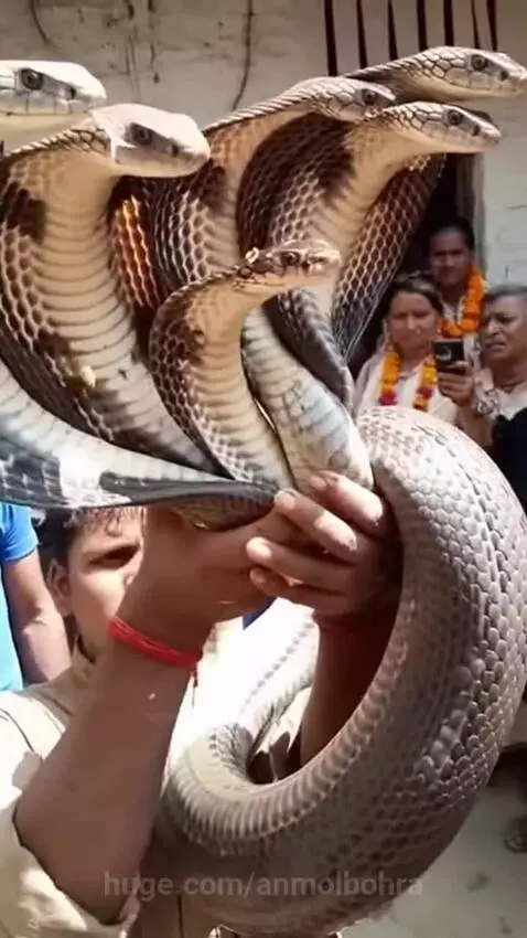 Bhagwan ka Chamatkar 🙏 by anmolbohra