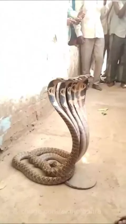 Bhagwan ka Chamatkar 🙏 by anmolbohra