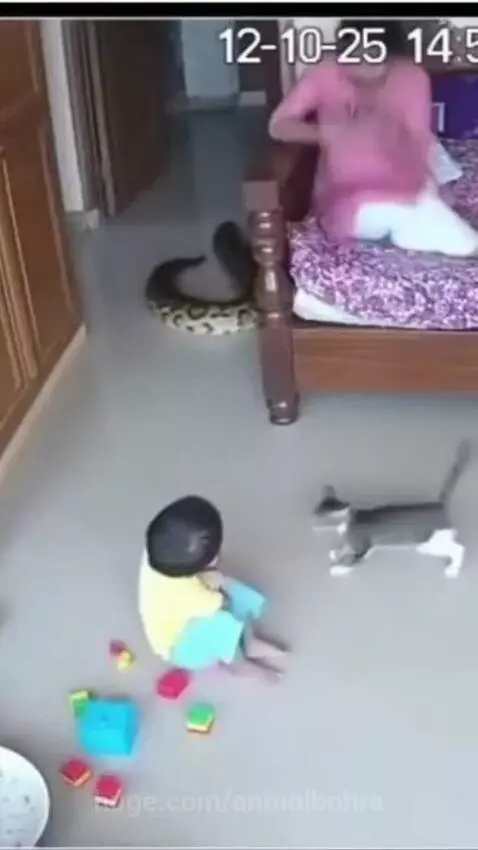 Bhagwan ka Chamatkar 🙏 by anmolbohra