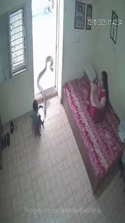 Bhagwan ka Chamatkar 🙏 by anmolbohra