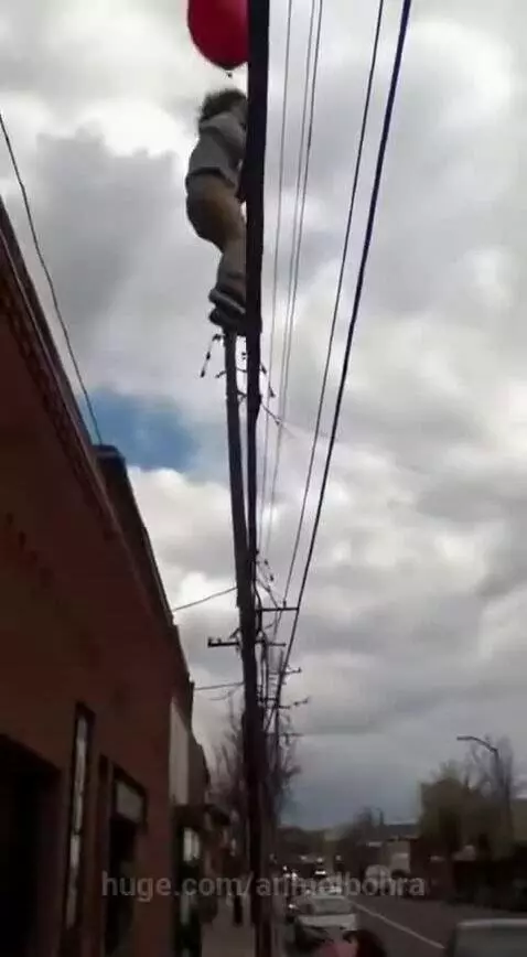 A miracle of God 🙏 by anmolbohra