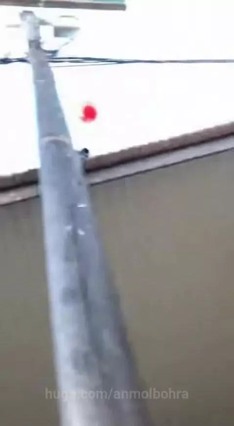 A miracle of God 🙏 by anmolbohra