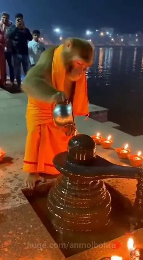 om namah shivay by anmolbohra