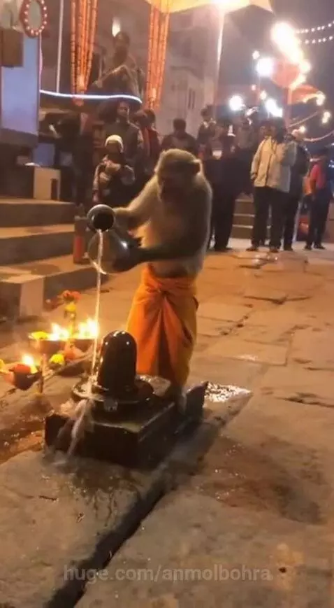 om namah shivay by anmolbohra