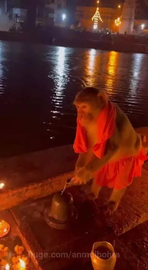 om namah shivay by anmolbohra