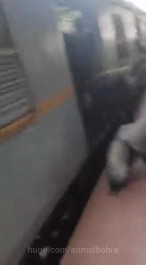 gorilla attack Mumbai local by anmolbohra