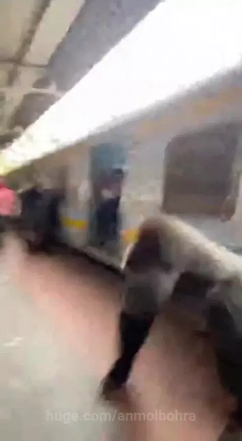 gorilla attack  mumbai local by anmolbohra