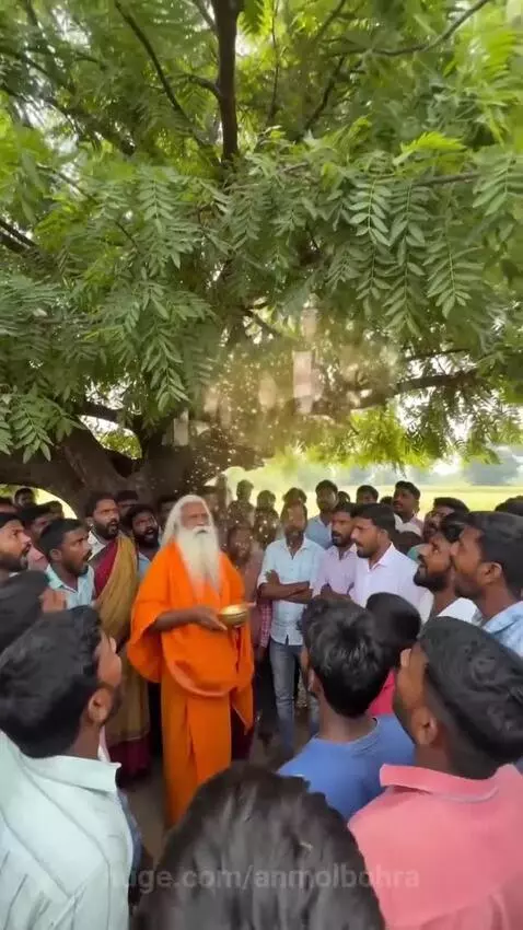 A holy man in orange robes stands under a tree as Indian 500 rupee notes fall from its branches onto a cheering crowd.