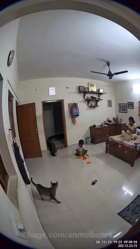 A mother lunges to grab her child as a large python approaches them in a living room.