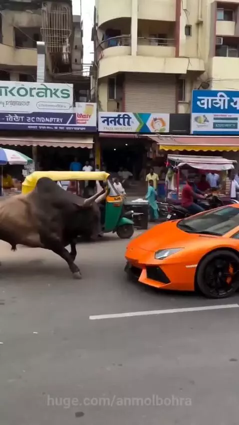 A bull standing on the hood of a damaged orange Lamborghini on a street in India, with onlookers gathered.