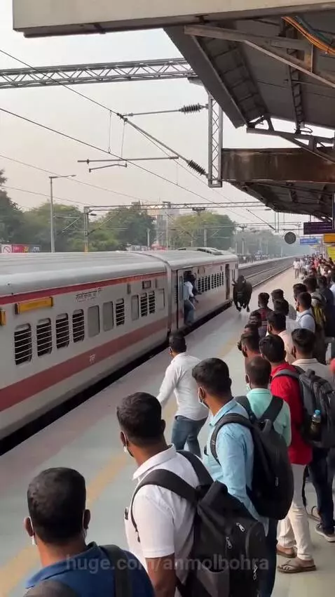 A large black bull running alongside a stopped train with open doors, attempting to jump aboard.