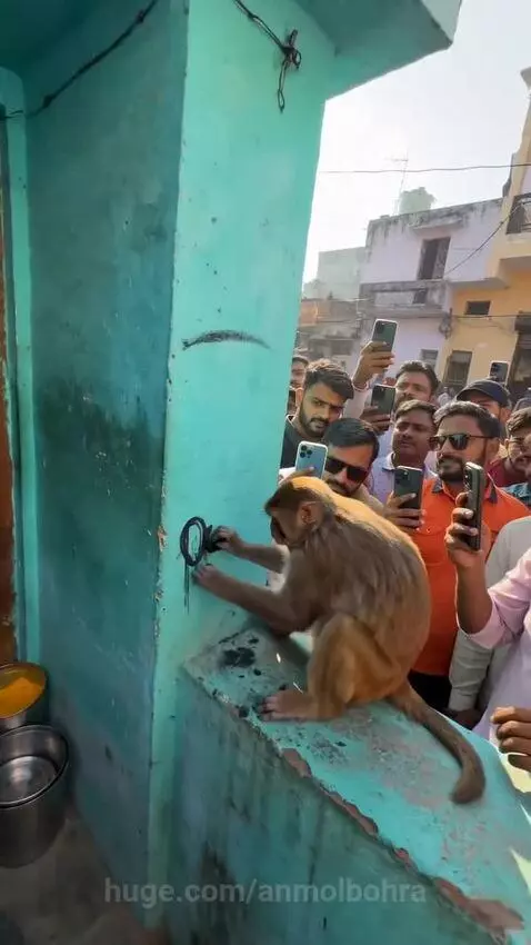 Monkey drawing a detailed image of Lord Shiva on a light blue wall with charcoal.
