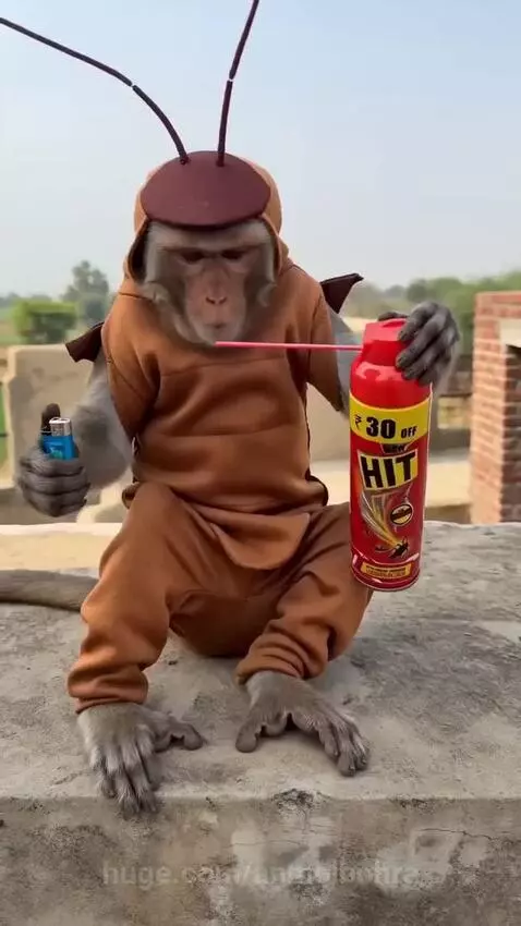 Monkey in a brown cockroach costume sprays insect repellent and ignites it with a lighter, creating smoke.