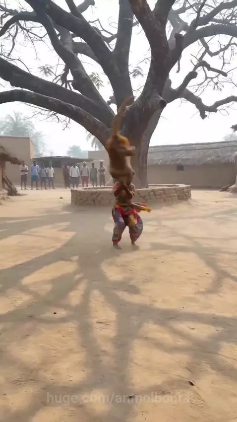 Person in colorful traditional clothing swinging a monkey in a dusty village square with a large tree.