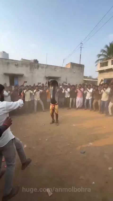 Street performer in a cobra costume exhales a large plume of orange fire in front of an excited crowd.