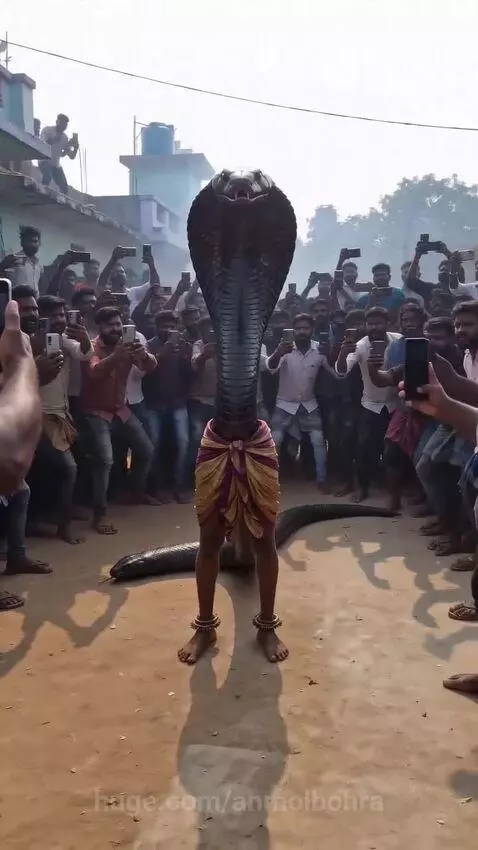 Person with cobra head and snake body breathes orange fire in front of a cheering crowd holding up phones.