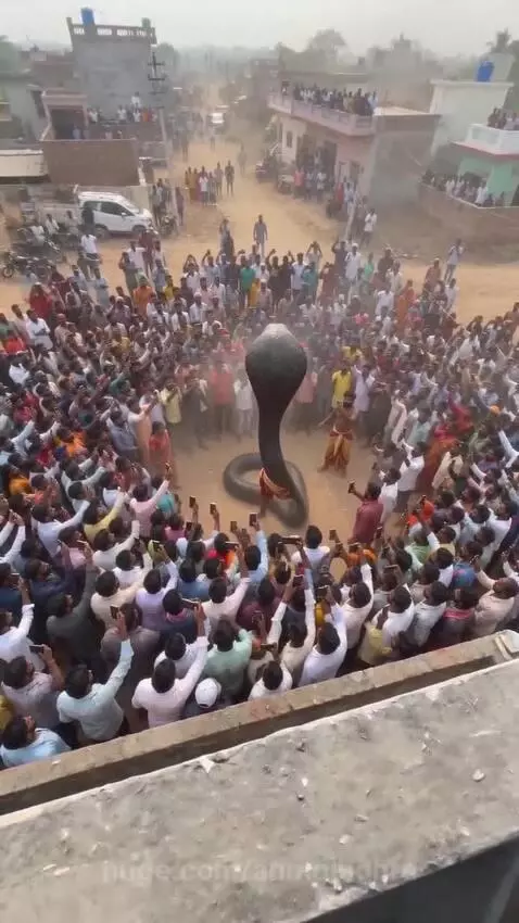 Giant cobra statue with mouth open, emitting a large plume of fire, surrounded by a cheering crowd holding mobile phones.