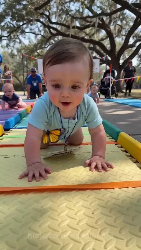 Baby in a blue onesie crawling towards a teddy bear after being distracted by a butterfly.
