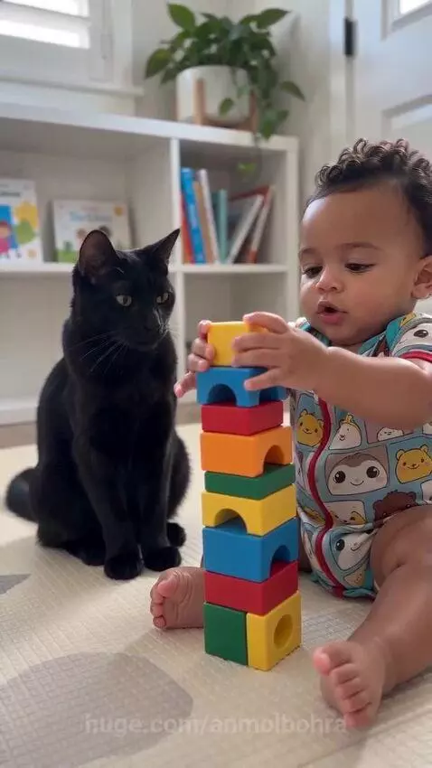 Baby with curly hair stacking colorful blocks, a black cat watches, then knocks the tower down.