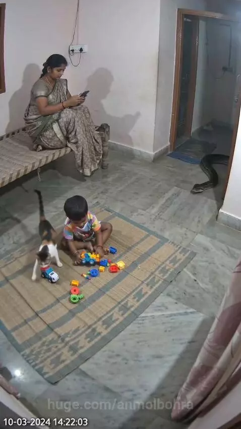 A large snake slithering towards a child playing on a mat, with a cat nearby.