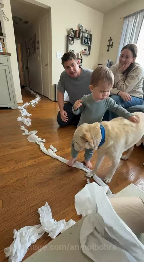 Toddler points at a robot vacuum cleaner, denying his dog Buddy made a toilet paper mess.