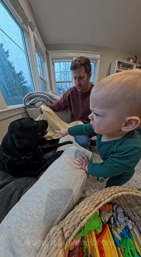 Baby in green outfit crying, then giving a blanket to a dog lying on a couch.