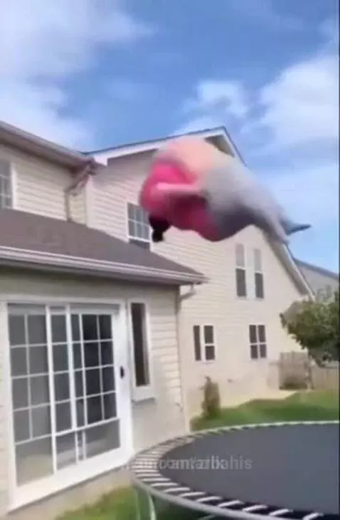 Isai Volf ПОДПИШИСЬ by antarbahis