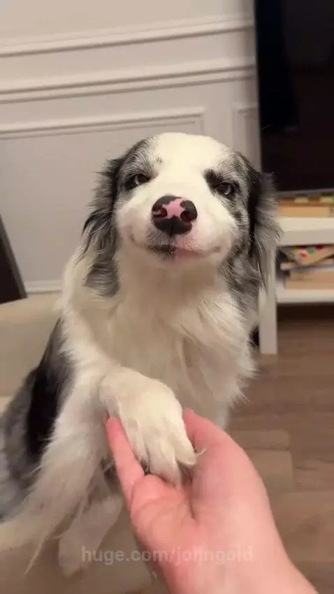 Simply a Lady 🎀 by johngold