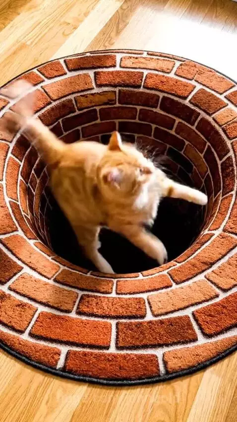 Thew Don't Believe it |  Are cats Smart? by johngold