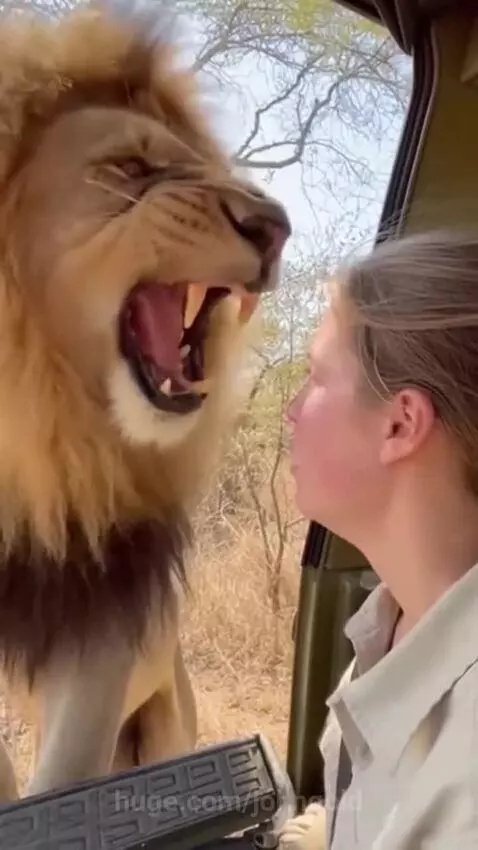 Stand Still Or Run? What would you take...? by johngold