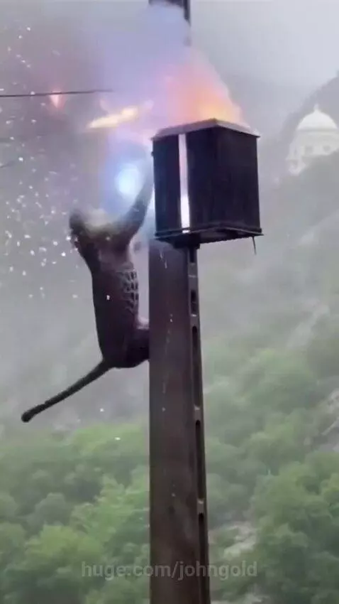 Would You Climb ON ELECTRICITY TOWER WHEN IT'S RAINING??? by johngold