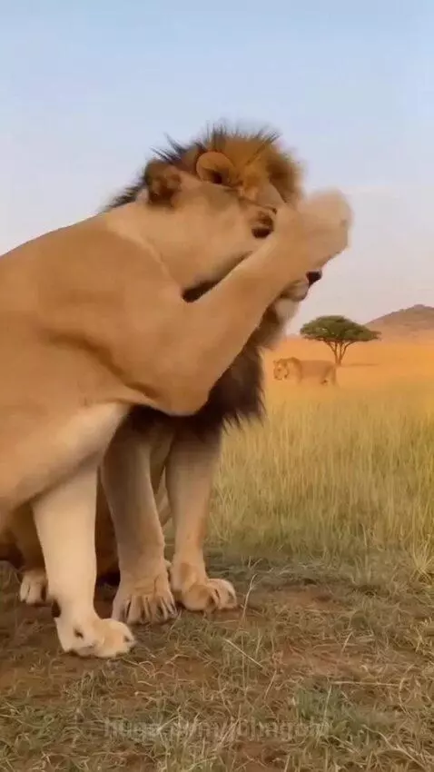 It can't be! Is she Pissed off?? by johngold