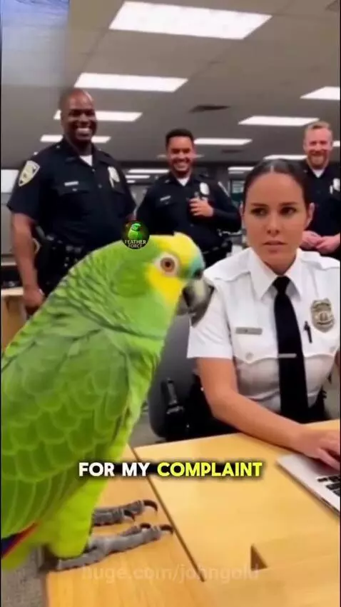 A green parrot with a yellow head sits on a desk, looking at a female police officer who is typing on a laptop.