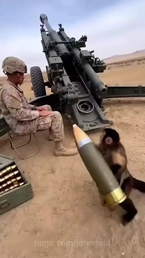 AI-generated monkey in tactical gear loading a howitzer and holding an assault rifle, with soldiers falling.